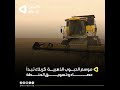 موسم الحبوب الذهبية