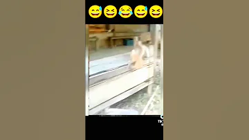 عيل قليل الادب القرموطى Shortvideo Fypシ اكسبلور كوميديا 