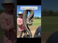 Louisiana Swamp рџ Ј Fishing Louisiana Swamp Louisiana Swamp рџ Ј Fishing Louisiana Swamp
