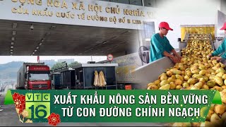 Xuất khẩu nông sản bền vững từ con đường chính ngạch | VTC16