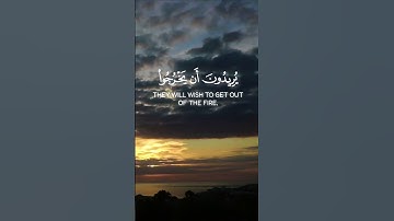 سورة المائدة الآية 36 و 37 بصوت القارئ محمد الفقيه