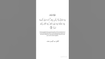 تلاوة هادئة من سورة مريم || القارئ عبد الرحمن مسعد #كرومات_قرآن
