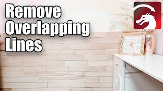 Workshop - Save Time with Remove Overlapping Lines