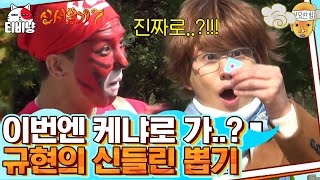 [신서유기7] 그렇게 '케냐 간 세끼' 확정.. 금손(?) 규현 덕에 신서유기 해외연수 2기 탄생⭐ | CJ ENM 191115 방송