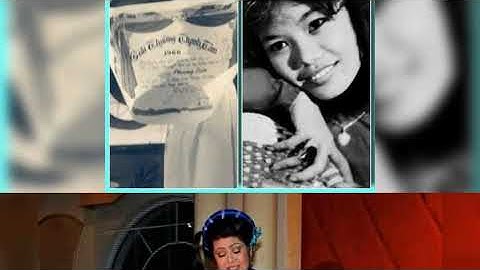 Tân cổ Nỗi Buồn Đêm Đông - Minh Cảnh, Phượng Liên