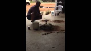 David Hardwick - Visual Soil Assessment (VSA) Berlese Funnel