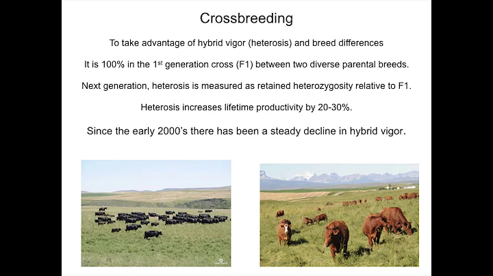 Genomic Tools for Commercial Beef Cattle w/ Dr. Jo...