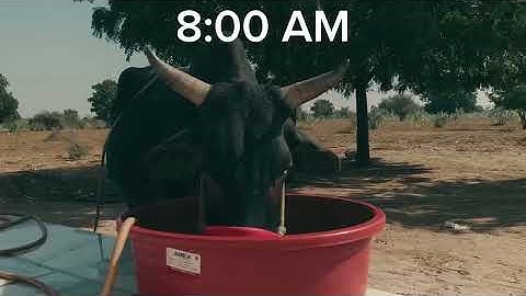 My 1st Mini Vlog 💥 | A New Beginning!”.  #minivlog 