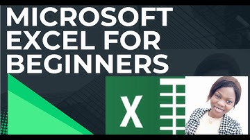 EXCEL FOR BEGINNERS, COPY, CUT & PASTE AS A PRO!