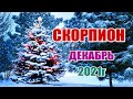 СКОРПИОН 🦂 ДЕКАБРЬ 2021г. Таро прогноз для скорпионов.