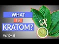 What is kratom  complete drug history and uses  w dr b