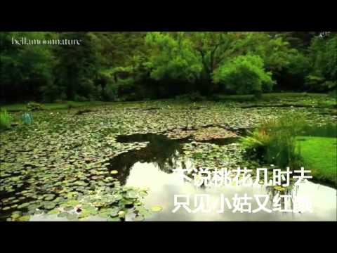梦入桃花源  童丽