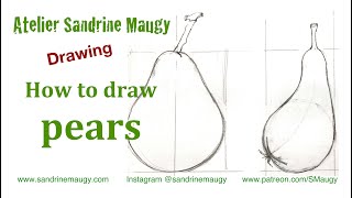 Botanical Art: 3 simple steps for drawing pears - With Sandrine Maugy