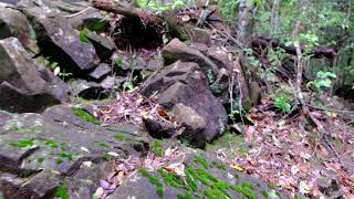 【登山】鹿児島姶良市最高峰の烏帽子岳