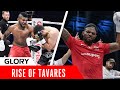 Luis tavares rise to the top of the light heavyweight division