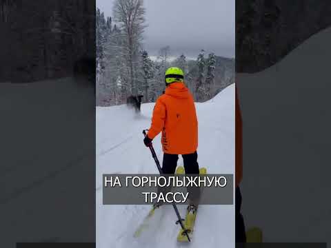 На горнолыжной трассе