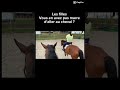 Quand On Aime On Ne Compte Pas Equitation Horse Cheval Concours Vlog Cso mp3