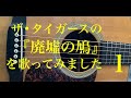 廃虚の鳩 ザ・タイガースcover