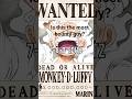who has the most bounty?#onepiece