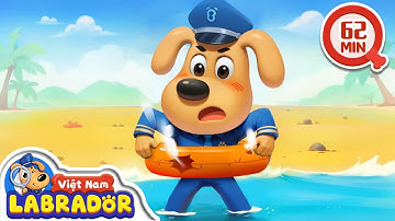 🤿 🏖️ An toàn khi đi bơi ở bãi biển 🚨 👮 Cảnh sát trưởng Labrador Vietnam🚔