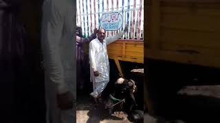 Chaudhry Zain Cheema Dairy Farm Sialkot