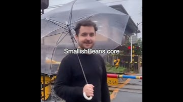 SmallishBeans core
