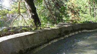 Roaring Creek Log Flume Mounted POV - Silverwood Theme Park