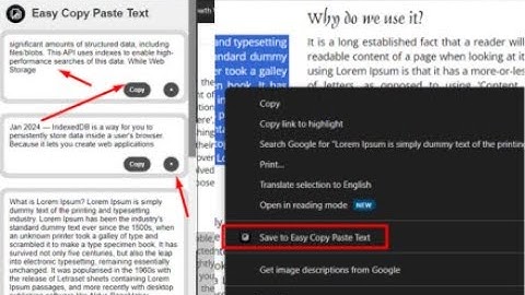 Transform Your Text Management: Introducing Easy Copy Paste Text Chrome Extension by Roshan Polekar
