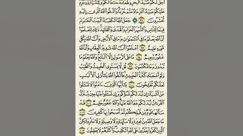 سورة المائدة من الآية ٩٦ إلى الآية ١٠٣بصوت القارئ ماهر المعيقلي