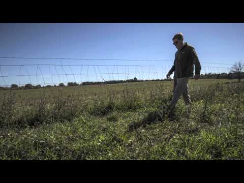 MSU AgBioResearch: Enhancing