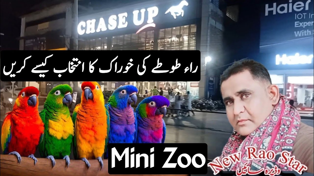 Interesting Visit to Birds Home Pet Store | Buying Pets Food for Parrots 🐦🐶