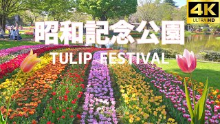 国営昭和記念公園 Government‐managed Showa Kinen Park Tulips, rape blossoms, cherry blossoms in TOKYO チューリップ