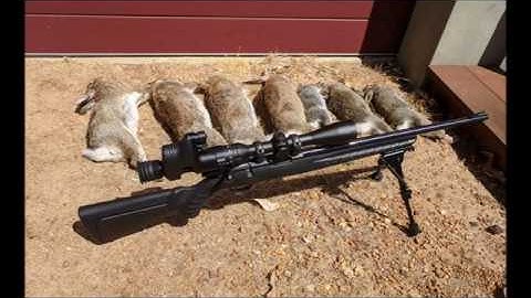 Rabbit shooting using a .22LR with a Pard NV007 nightvision addon