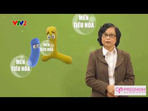 Video: Bào tử thực vật và bào tử vi khuẩn khác nhau như thế nào?