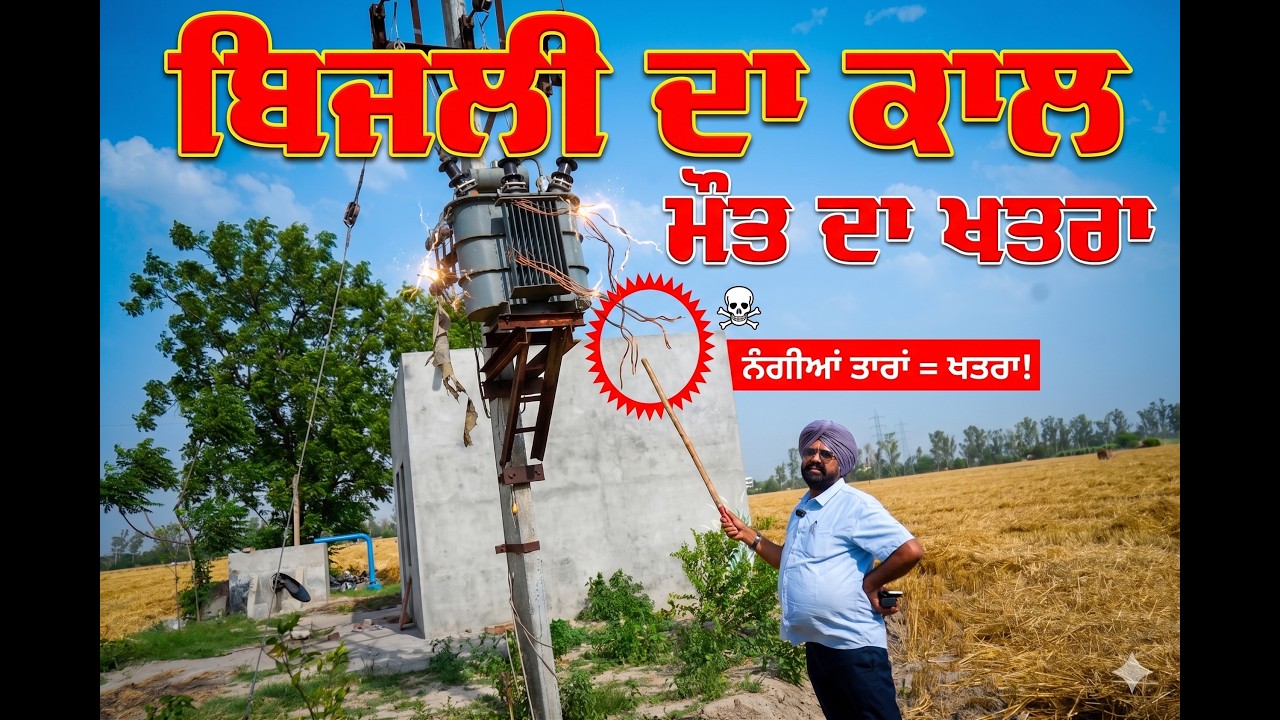 ⁣ਬਿਜਲੀ ਮਹਿਕਮੇ ਦੀ ਵੱਡੀ ਲਾਪਰਵਾਹੀ: ਅਧੂਰੀ ਅਰਥਿੰਗ (Earthing) ਲੈ ਰਹੀ ਹੈ ਮਾਸੂਮਾਂ ਦੀ ਜਾਨ!