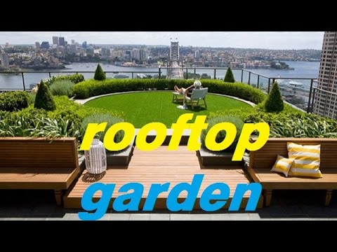 rooftop-garden-design-ideas