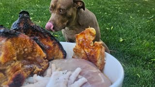 Dog Eats Raw Quarter Chicken & Feet, Crispy Chicken Skin & Pig Ears Over Rice N Carrot #Dog #MUKBANG