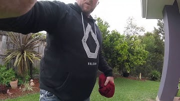 little carpet python in coomera