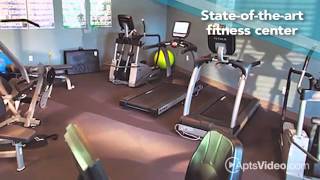 Ultris at Patriot Park Apartments in Fayetteville, NC - ForRent.com
