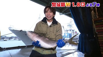 IMP.鈴木大河の推しタイガー第4弾！能登寒ブリ350匹！早朝市場で解体ショー！脂の乗った寒ブリ刺し身に大感激【絶好調W】☆1/8(水)予告 #IMP. #鈴木大河 #石川 #北陸 #MRO北陸放送