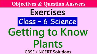 Getting To Know Plants | Class 6 - Science | Objectives and Exercises | Sprint for Exams | NCERT