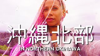 JAPAN TRAVEL VLOG: 7-YEAR ANNIVERSARY in NORTHERN OKINAWA! PT. 3 夫婦旅 #AMBW