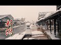 【4K Snowfall】Niigata as Heavy snow districts and Landing zone of Migrated swans.  #新潟 #瓢湖 #4K