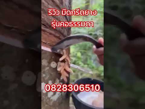 รีวิวมีดกรีดยางท่านขุน