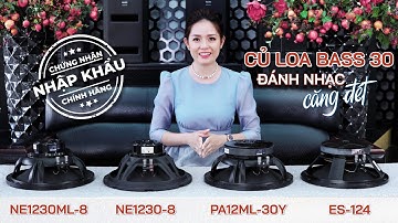Top 4 Mẫu Loa Bass 30 Gây Bão Đáng Tiền Hay Nhất Hiện Nay | MAXO Audio