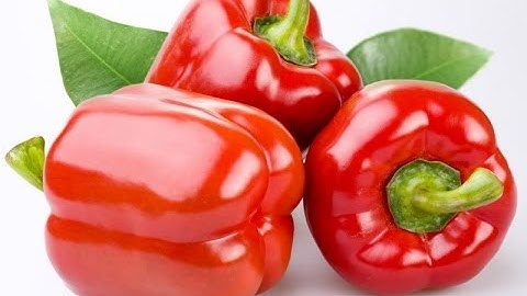 Ớt Chuông Đỏ Đà Lạt | Tuấn Nguyên Corp