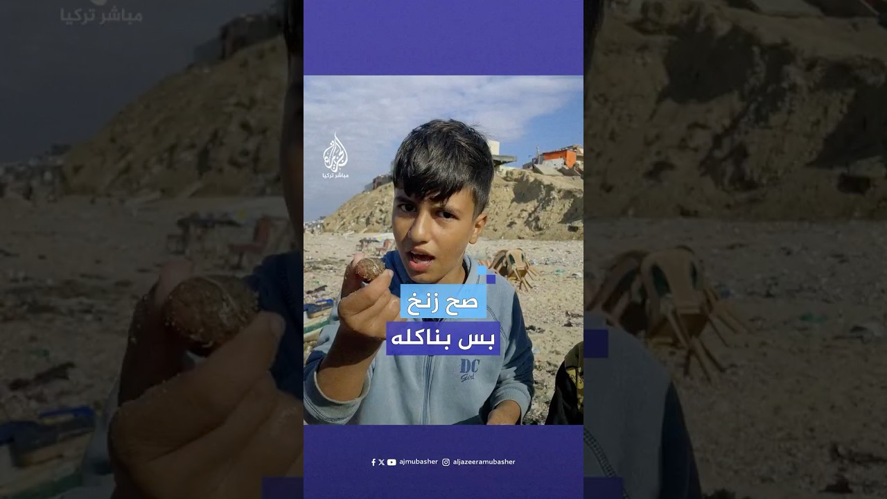 طفل فلسطيني يجمع فاكهة البحر مع أصدقائه من شاطئ بحر دير البلح لتسد جوعهم