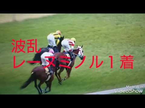 ２０１７ 桜花賞 波乱 Ｇ１