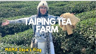 Taiping Bridge Part3 || TEA FARM ESCAPADES