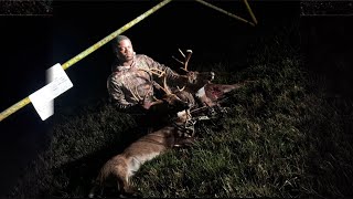 2 Big Bucks Down in Georgia | Peak Rut!!!